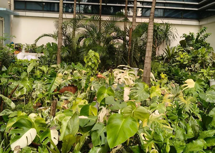 M&v Condotel Near Naia Terminal 3 Apartment *